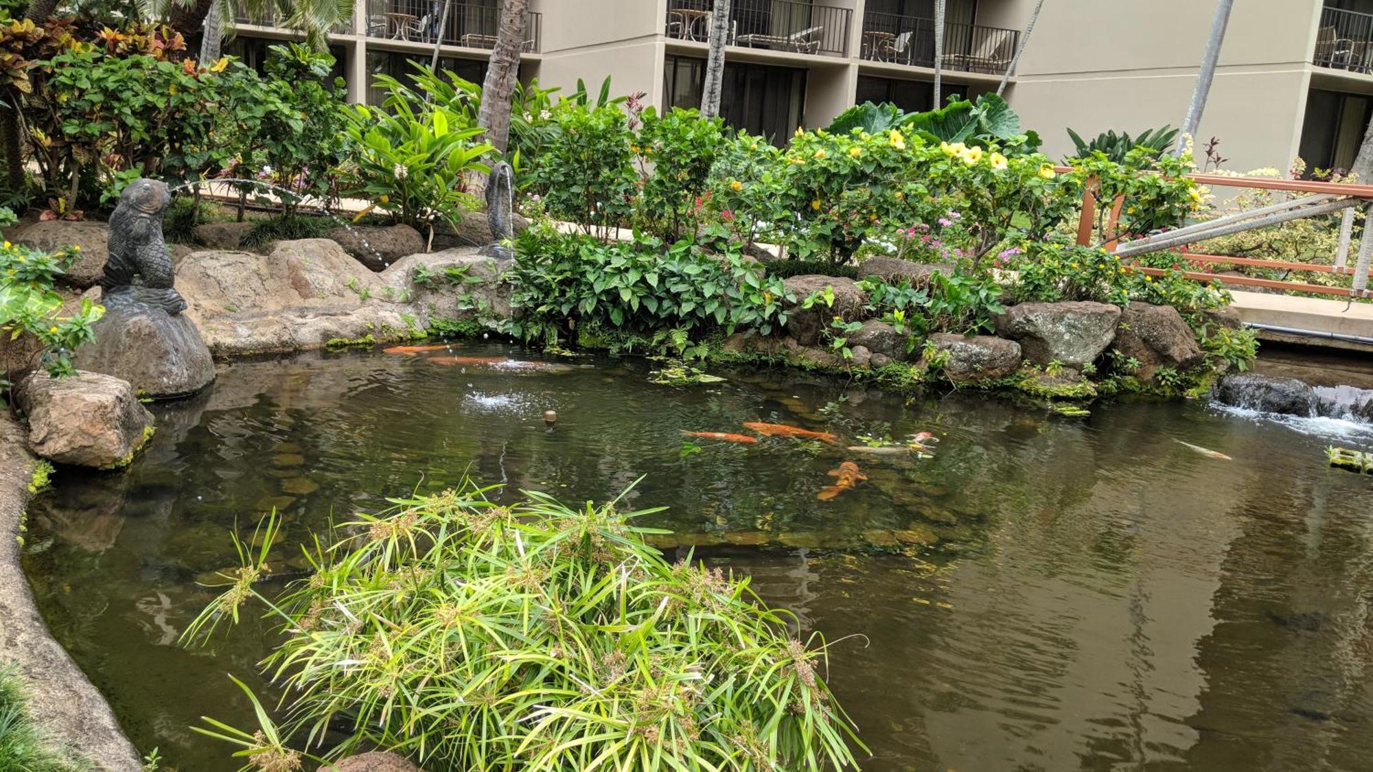 Maui Westside Presents: Kaanapali Shores 733 Stunning Ocean Views New Listing Lahaina Bagian luar foto