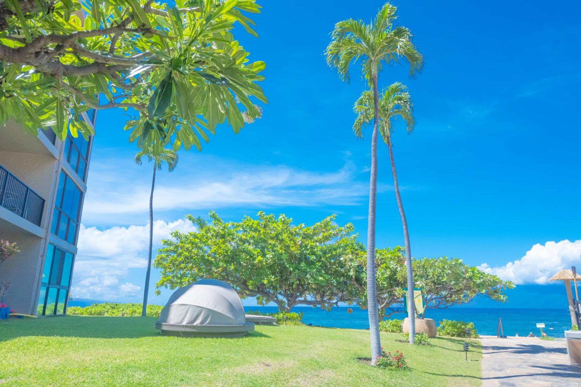 Maui Westside Presents: Kaanapali Shores 733 Stunning Ocean Views New Listing Lahaina Bagian luar foto